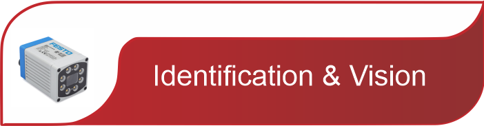 Identification & Vision