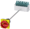 Alternative image 1