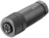 Alternative image 1