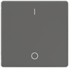 Alternative image 1