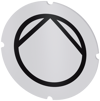 Alternative image 1