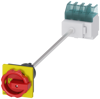 Alternative image 1