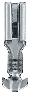 Alternative image 1