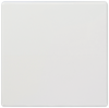 Alternative image 1