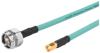 Alternative image 1
