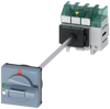 Alternative image 1
