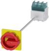 Alternative image 1