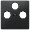 Alternative image 1