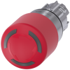 Alternative image 1