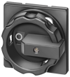 Alternative image 1