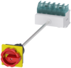 Alternative image 1