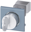 Alternative image 1