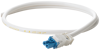 Alternative image 1