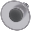 Alternative image 1