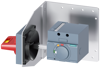Alternative image 1