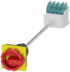 Alternative image 1