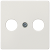 Alternative image 1