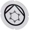 Alternative image 1