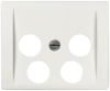 Alternative image 1