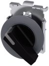 Alternative image 1