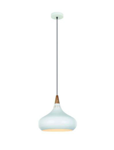 LIT-1576-WX1