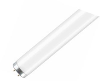 LIT-1242-WX1