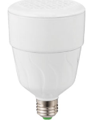 LIT-0141-WX1