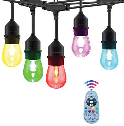 LIT-0368-WX1
