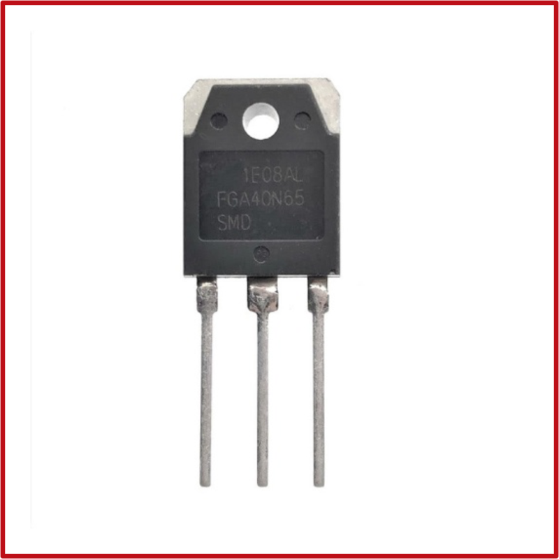 IGB-0005-C12