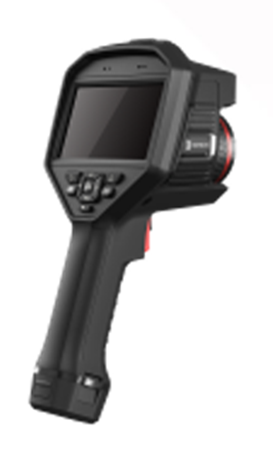 G31