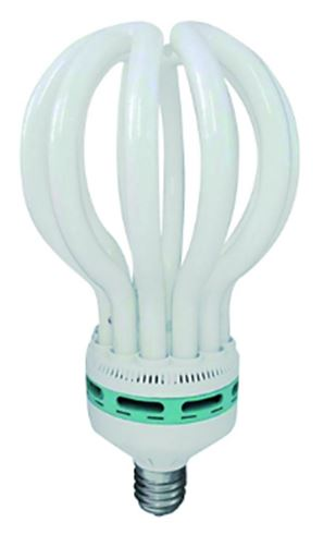 LIT-0462-WX1