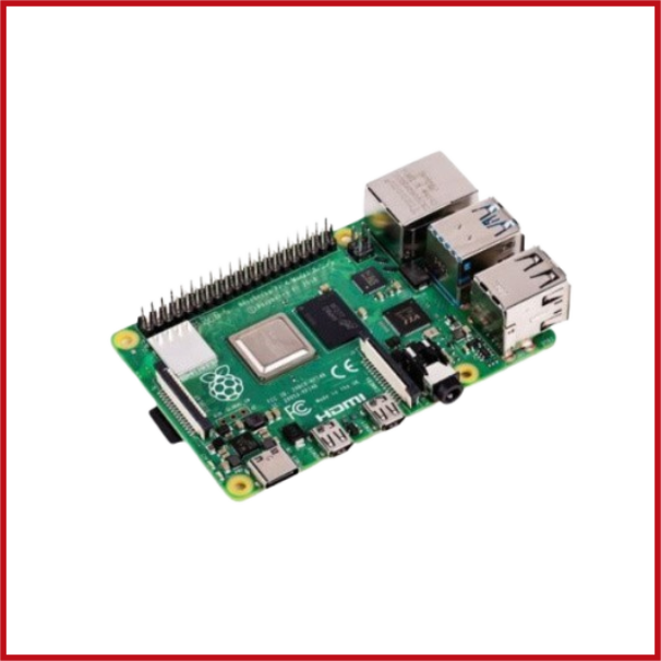RAS-0006-D13