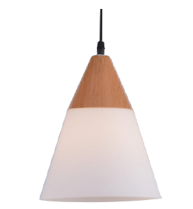 LIT-0008-WX1