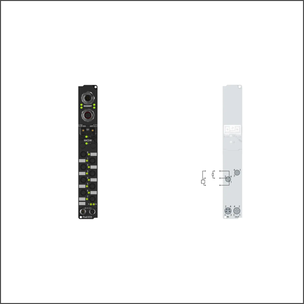 IP2020-B518
