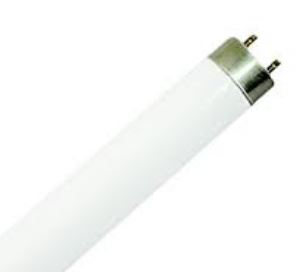 LIT-0287-WX1