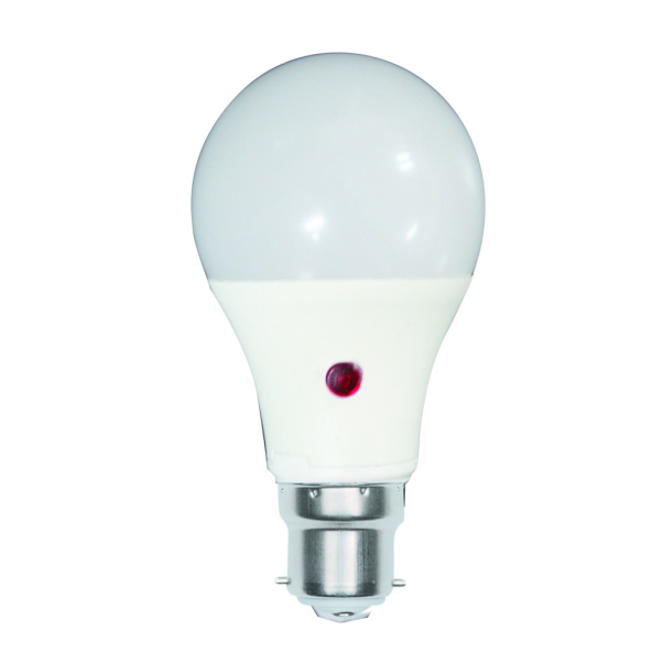 DL-5W-B22-WW