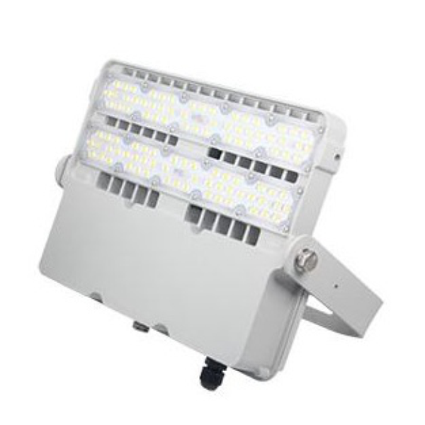 YT-NP-FL07-100W-W
