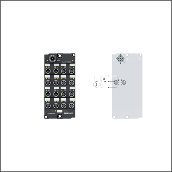 EPI2339-0021