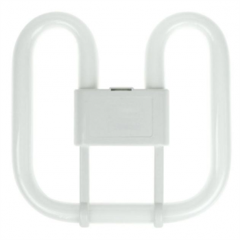 21W WARM WHITE 2 PIN FLUORESCENT LAMP GR8 BASE