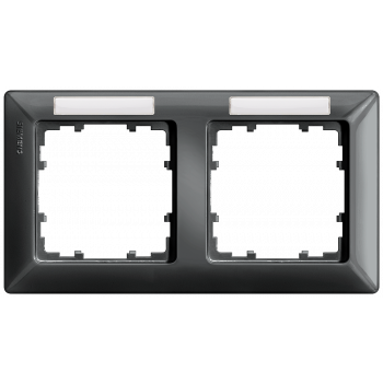 DELTA line, carbon metallic frame 2-fold, 151x 80 mm horizontal, 5TG2552-7