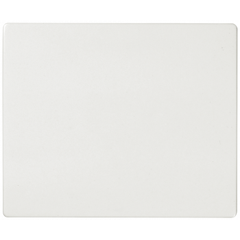 IRIS Rocker switch polar white