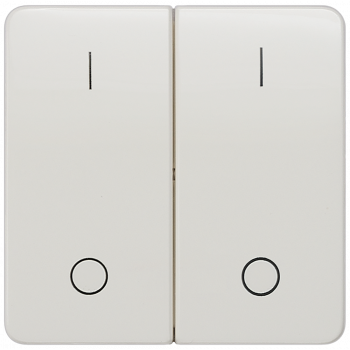 DELTA profil, titanium white Rocker switch with symbols I0
