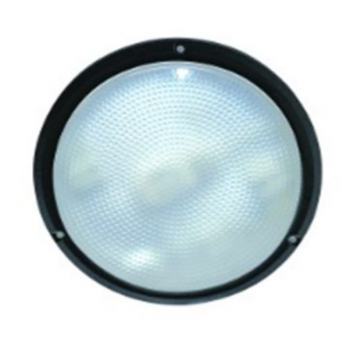 2D 16W Clear Black Bulkhead