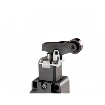 LIMIT SWTH 10A SIDE ROLLER LEVER E40100DM
