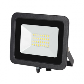 20W RGBW With Remote Floodlight