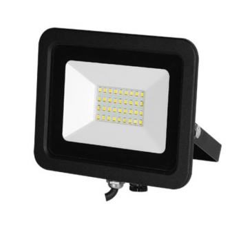 30W RGBW With Remote Floodlight