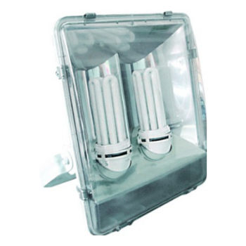 2x65W CFL Plastic Floodlight Lamps