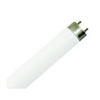28W T5 Daylight Fluorescent Lamp