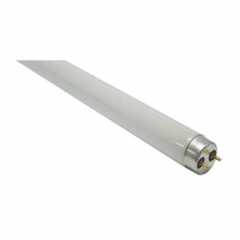 36W T8 4FT Warm White Fluorescent Lamp