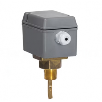 PADDLE TYPE FLOW SWITCH 1' NPT